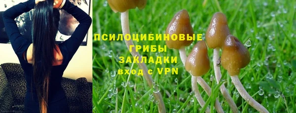 скорость Алексин