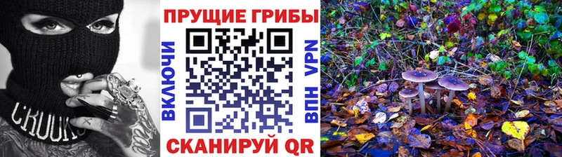 Галлюциногенные грибы Psilocybine cubensis  где продают наркотики  это формула  Выкса 