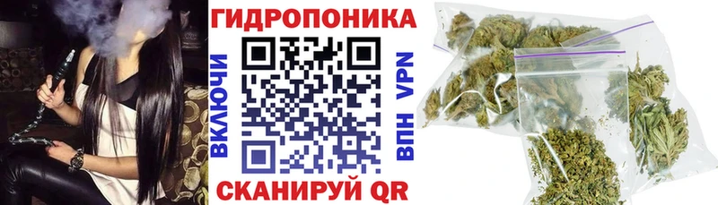 Бошки Шишки планчик  дарнет шоп  Выкса 